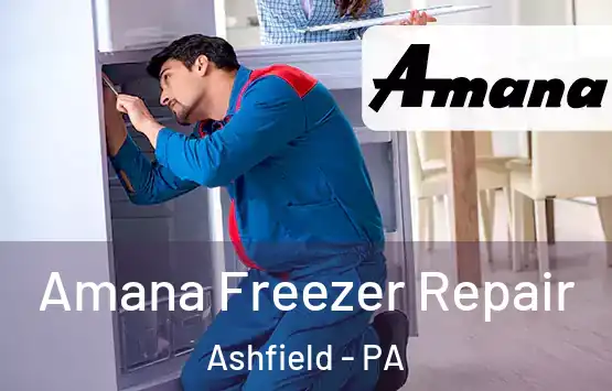  Amana Freezer Repair Ashfield - PA