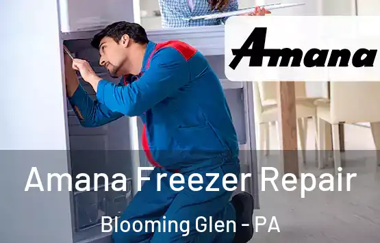  Amana Freezer Repair Blooming Glen - PA