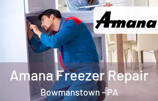  Amana Freezer Repair Bowmanstown - PA