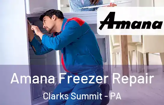  Amana Freezer Repair Clarks Summit - PA