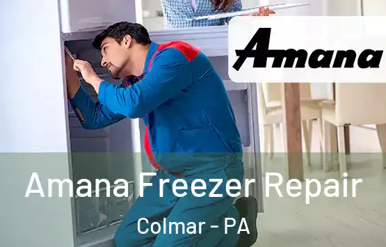  Amana Freezer Repair Colmar - PA