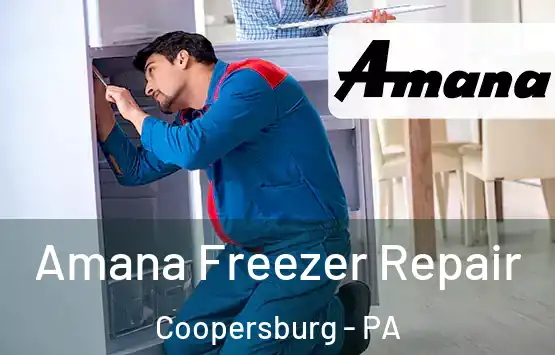  Amana Freezer Repair Coopersburg - PA