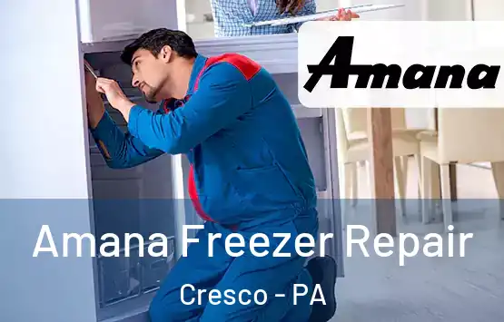  Amana Freezer Repair Cresco - PA