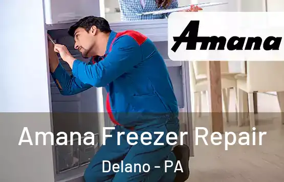  Amana Freezer Repair Delano - PA
