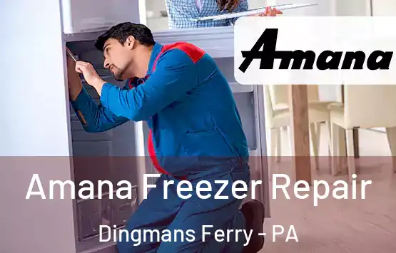  Amana Freezer Repair Dingmans Ferry - PA