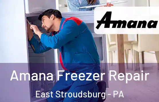  Amana Freezer Repair East Stroudsburg - PA