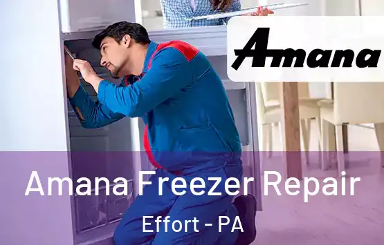  Amana Freezer Repair Effort - PA