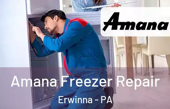  Amana Freezer Repair Erwinna - PA