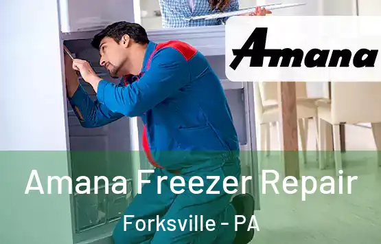  Amana Freezer Repair Forksville - PA