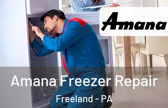  Amana Freezer Repair Freeland - PA