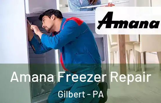  Amana Freezer Repair Gilbert - PA