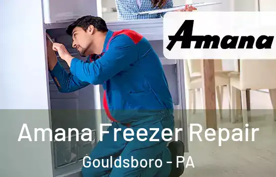  Amana Freezer Repair Gouldsboro - PA