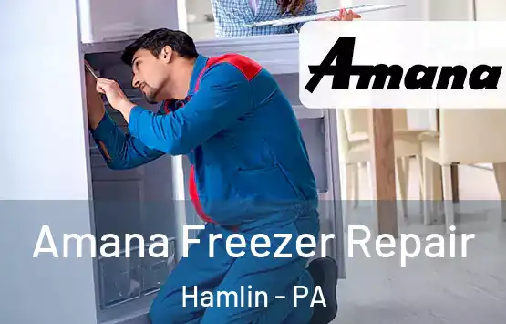  Amana Freezer Repair Hamlin - PA