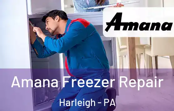  Amana Freezer Repair Harleigh - PA