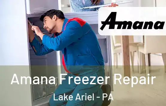  Amana Freezer Repair Lake Ariel - PA
