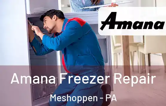  Amana Freezer Repair Meshoppen - PA