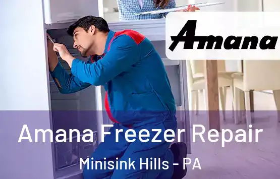  Amana Freezer Repair Minisink Hills - PA