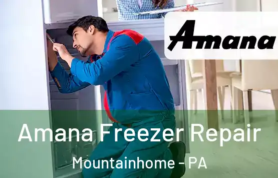 Amana Freezer Repair Mountainhome - PA