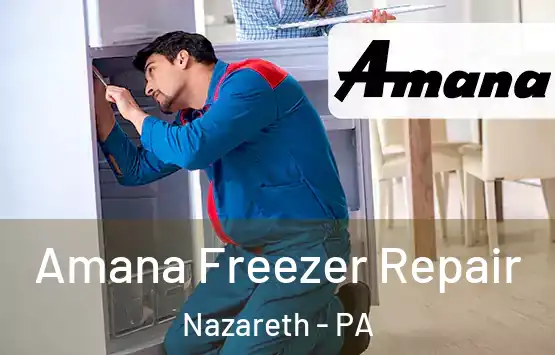  Amana Freezer Repair Nazareth - PA