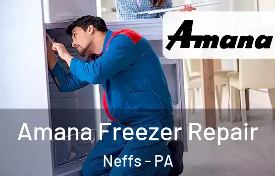  Amana Freezer Repair Neffs - PA