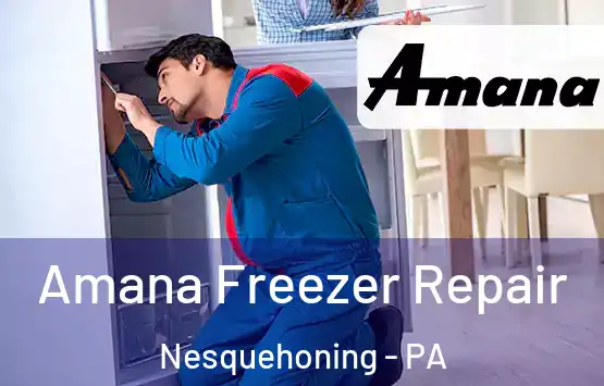  Amana Freezer Repair Nesquehoning - PA
