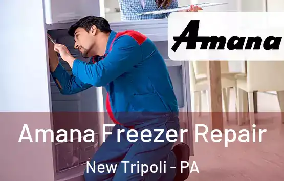  Amana Freezer Repair New Tripoli - PA