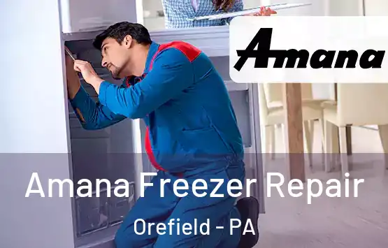  Amana Freezer Repair Orefield - PA