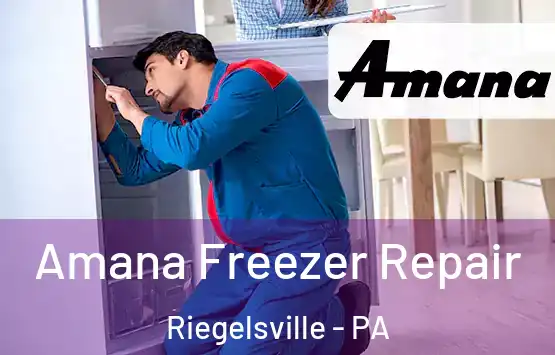  Amana Freezer Repair Riegelsville - PA
