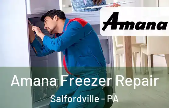  Amana Freezer Repair Salfordville - PA