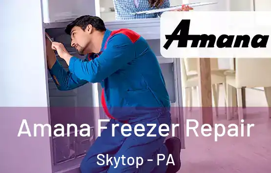  Amana Freezer Repair Skytop - PA