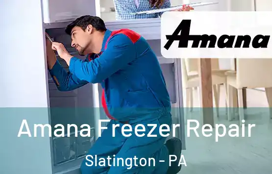  Amana Freezer Repair Slatington - PA
