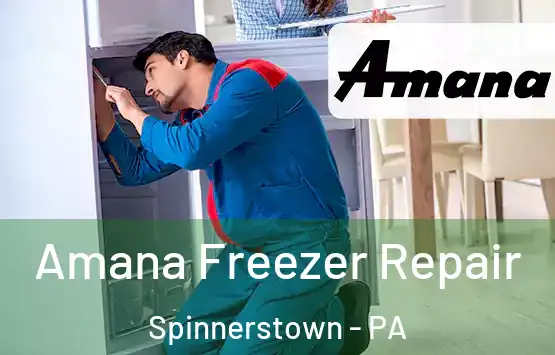  Amana Freezer Repair Spinnerstown - PA