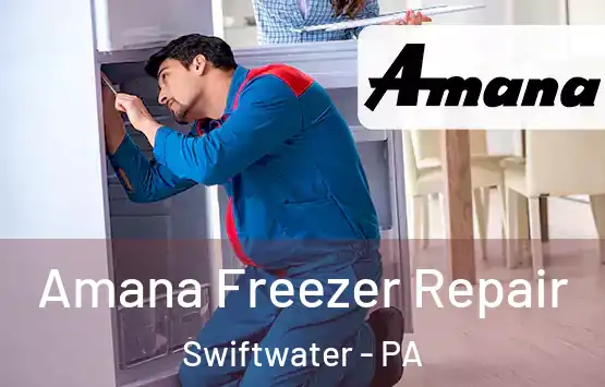  Amana Freezer Repair Swiftwater - PA