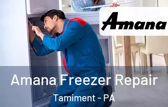  Amana Freezer Repair Tamiment - PA