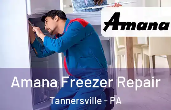  Amana Freezer Repair Tannersville - PA