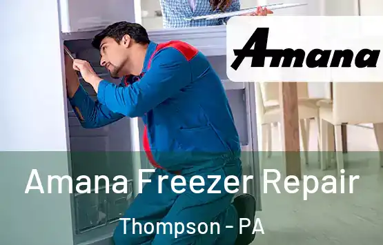  Amana Freezer Repair Thompson - PA