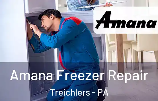  Amana Freezer Repair Treichlers - PA