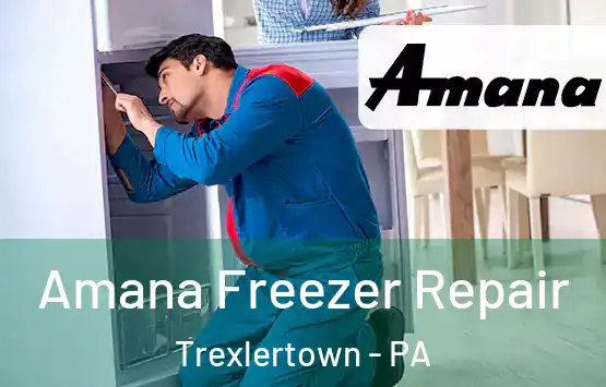  Amana Freezer Repair Trexlertown - PA