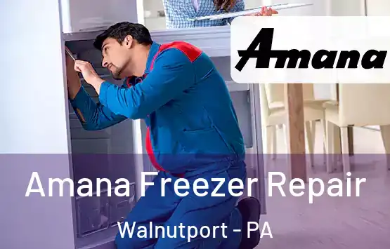  Amana Freezer Repair Walnutport - PA