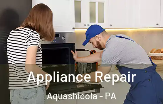  Appliance Repair Aquashicola - PA