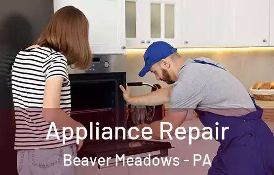  Appliance Repair Beaver Meadows - PA