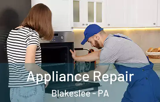  Appliance Repair Blakeslee - PA