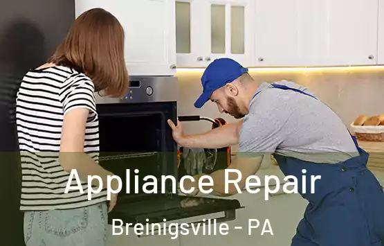  Appliance Repair Breinigsville - PA