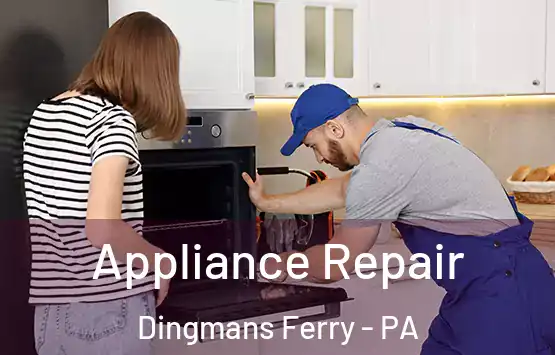  Appliance Repair Dingmans Ferry - PA