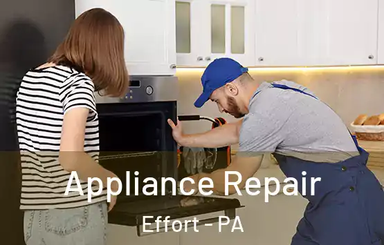  Appliance Repair Effort - PA