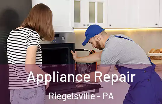  Appliance Repair Riegelsville - PA