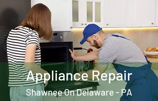  Appliance Repair Shawnee On Delaware - PA