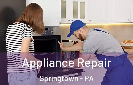  Appliance Repair Springtown - PA