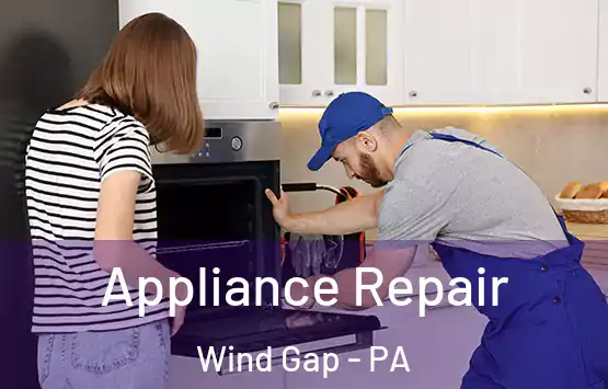  Appliance Repair Wind Gap - PA
