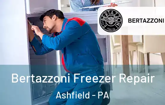  Bertazzoni Freezer Repair Ashfield - PA